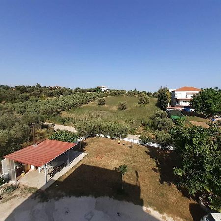 פסאקודיה Elaionas Apt. מראה חיצוני תמונה